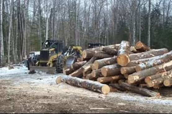 skidsteer and logs