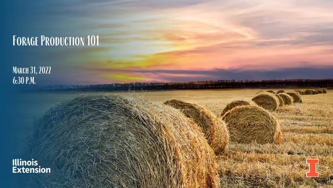 A line up of hay with a colorful sunset