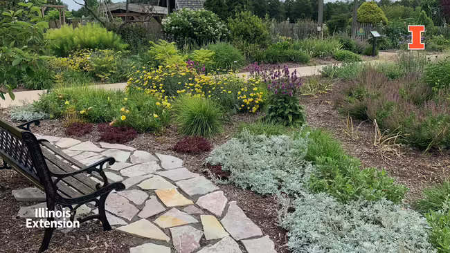 Xeriscaping Unit 13