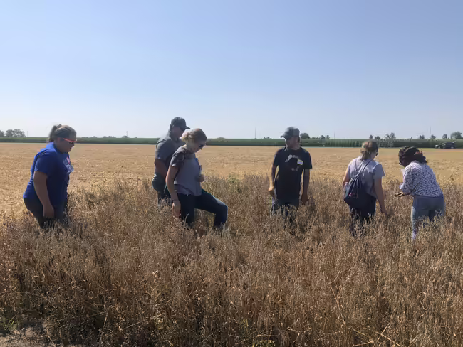 students in farm field examining crop