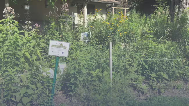 Green plants with White sign