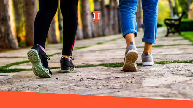 People walking on a path