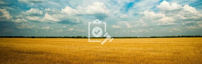 farm scene with blue sky, wheat harvest