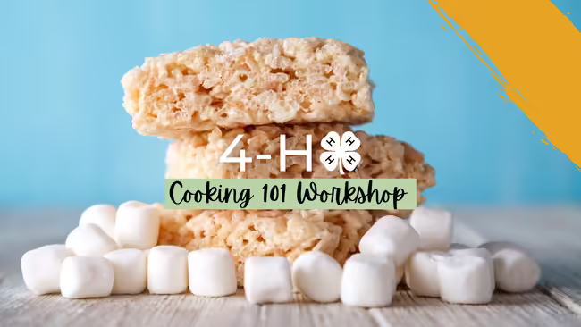 Sky blue background with image of rice crispy treats and mini marshmallows laying on wooden table. White text "4-H" and white 4-H Clover. Green background with black text "cooking 101 workshop" yellow stripe in right corner