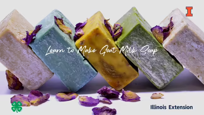 colorful handmade bars of soap