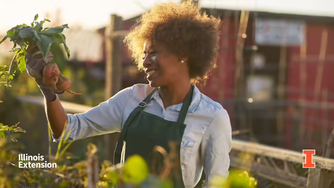 A woman holding radishes and working in a garden.