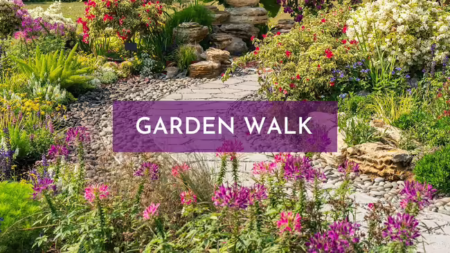 sidewalk bordered with plants