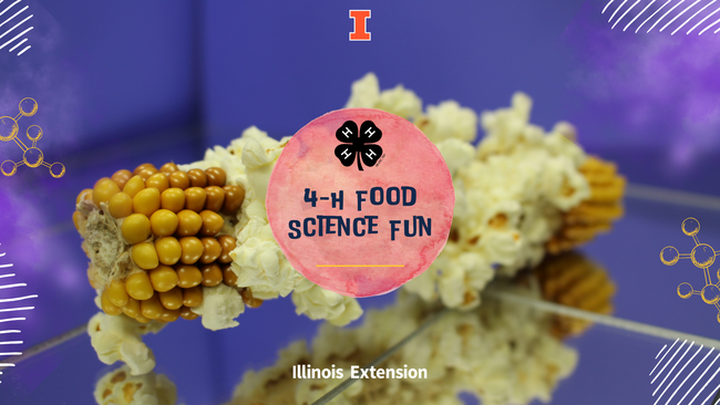 purple background, popcorn popped on the cob, Orange big I in the center at the top, white text "Illinois Extension" at the bottom center, yellow and white geometrical shapes around the edges on the left and right, pink circle in the center with a black 4-H clover, blue text "4-H Food Science Fun" and a yellow line