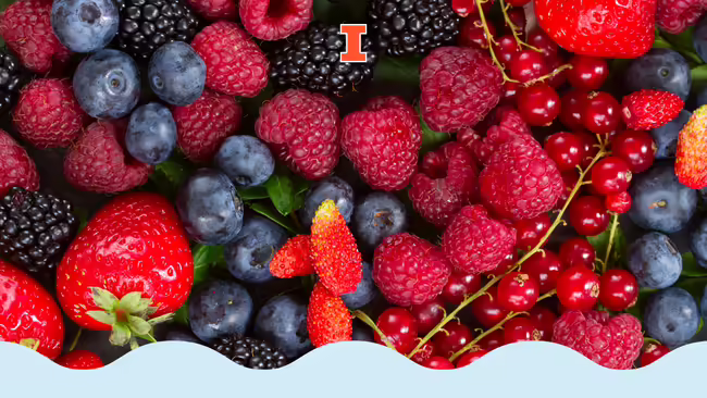 Mixed berries