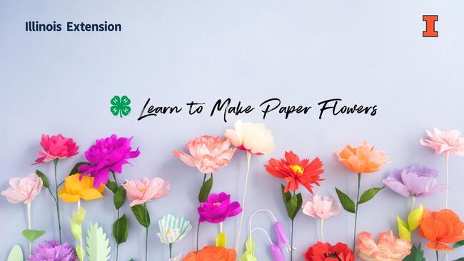 brightly colored flowers made from paper