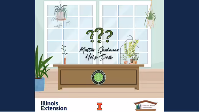 desk with plants