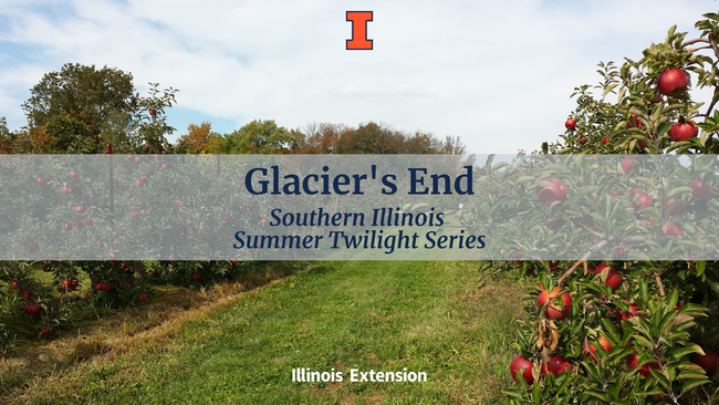 Apple Orchard with "Glacier's End, Southern Illinois Summer Twilight Series" text.