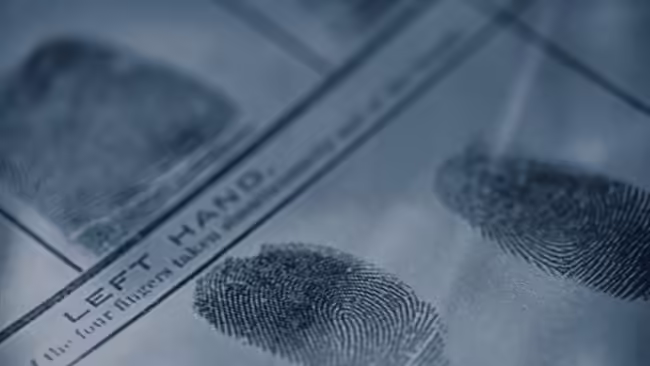 decorate image of a fingerprint pad with a dark blue overlay