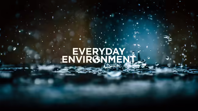 rain creating stormwater on the ground