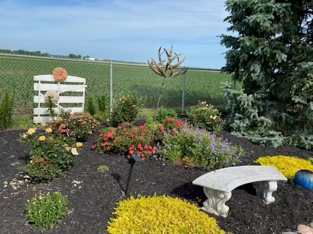 Home landscape with various types of plants