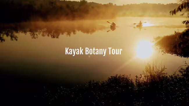 kayaking at sunset