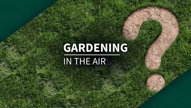 lawn with question mark
