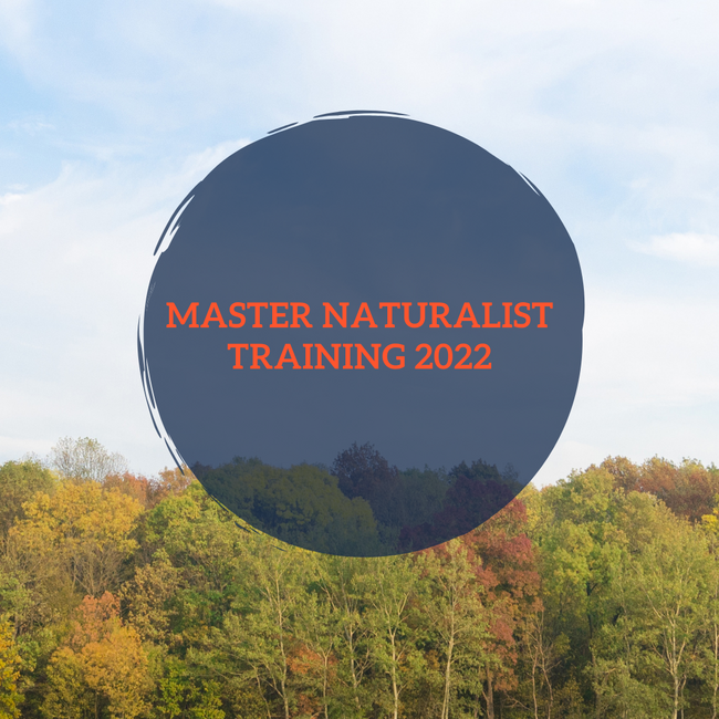 tree tops on the horizon with a navy circle layered over the blue sky. Text on navy circle says: Master Naturalist Training 2022