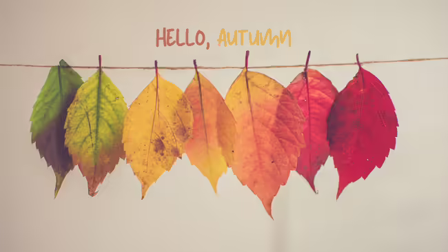 Different colored fall leaves hanging from a thread with text that reads hello autumn.