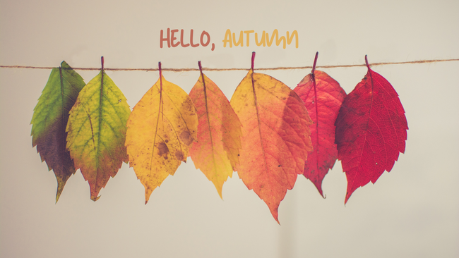 Different colored fall leaves hanging from a thread with text that reads hello autumn. 