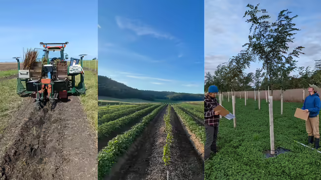 Agroforestry practices in Illinois