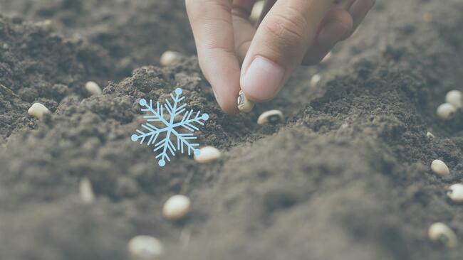 Decorative image of person sewing seeds with a snowflake