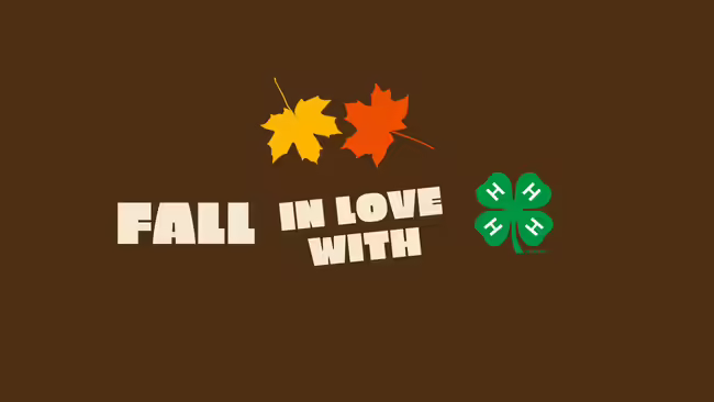 Fall in Love with 4-H