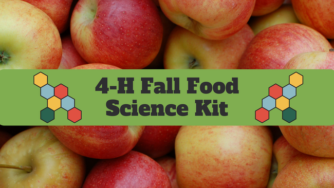 Apples with 4-H Fall Food Science Kit in black text