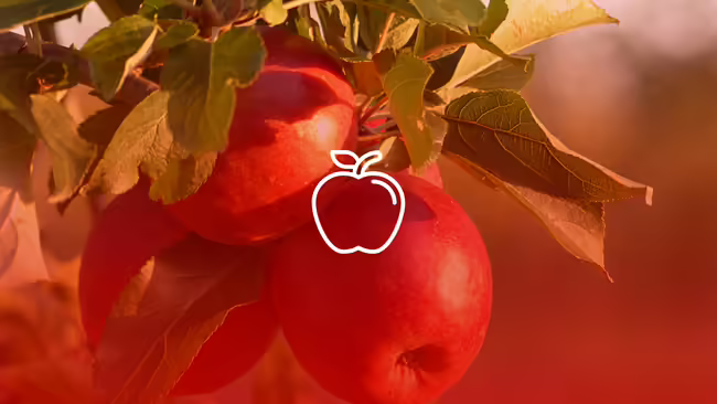 An apple tree with an icon of an apple on top of it.