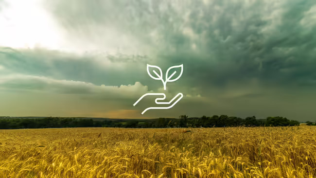 A field with a storm and a graphic of a plant being held by hands