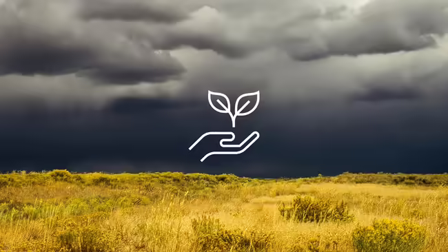 A field with a storm and a graphic of a plant being held by hands