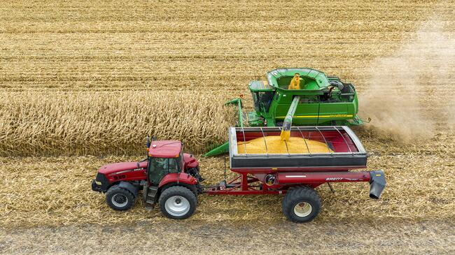  Tractor and combine harvesting grain in fall corn field