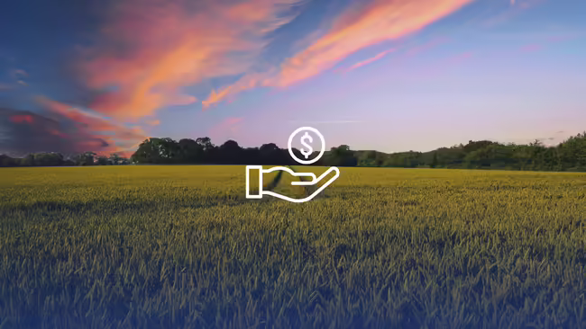 A field with a blue and pink sky.
