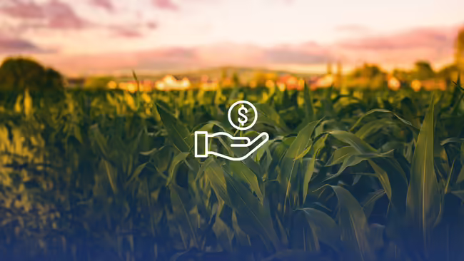 A field of crops.