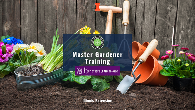 plants and garden supplies against a wooden fence