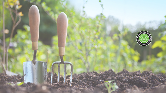 gardeners trowel and rake in loose soil