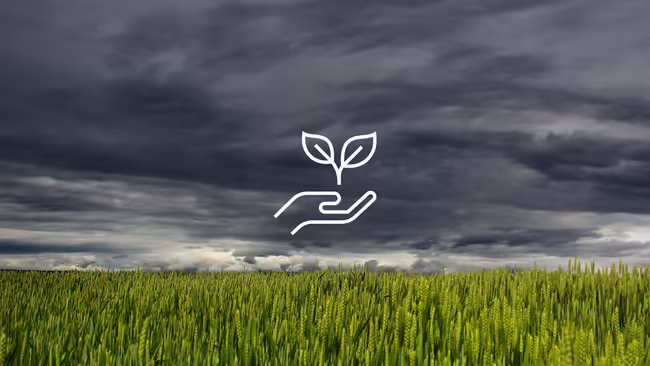 A field with a storm and a graphic of a plant being held by hands