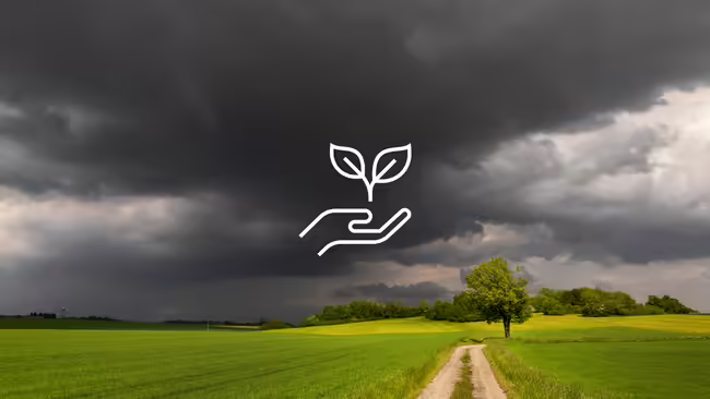 A field with a storm and a graphic of a plant being held by hands