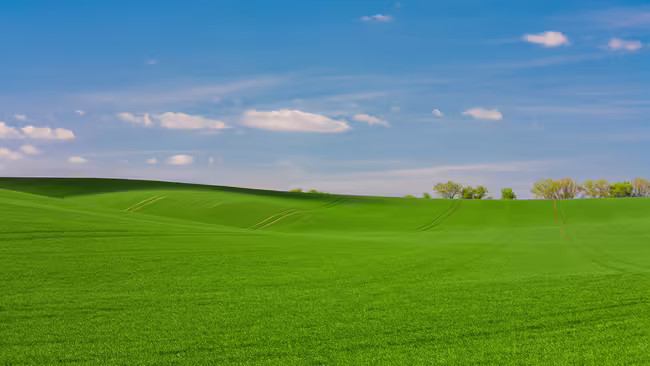 green field and blue sky