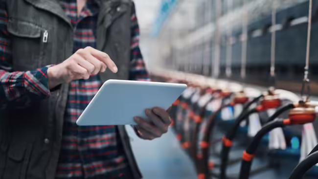 person on tablet in livestock barn