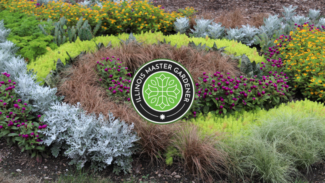 Picture of colorfully designed garden with the Illinois Master Gardener Logo in the middle.