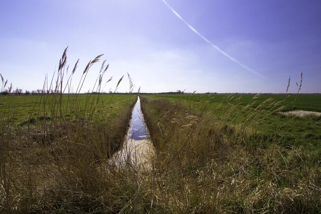 drainage ditch in field