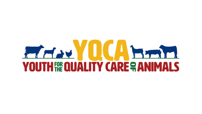 YQCA logo - words with outline of farm animals