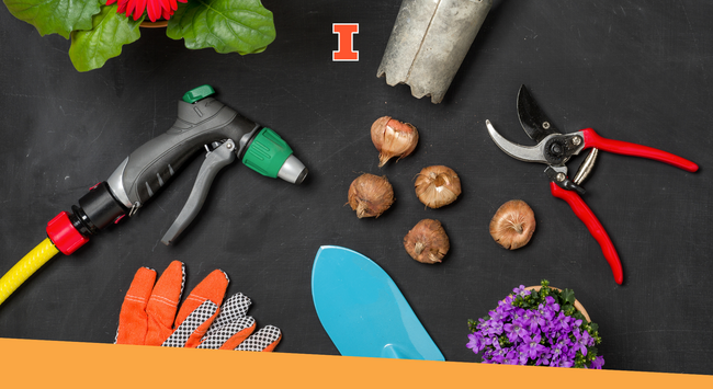 Various garden tools on a dark colored background.