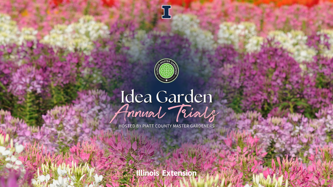 Floral background with text "Idea Garden Annual Trials Hosted by Piatt County Master Gardeners"