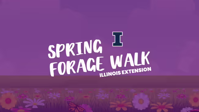Spring Forage Walk