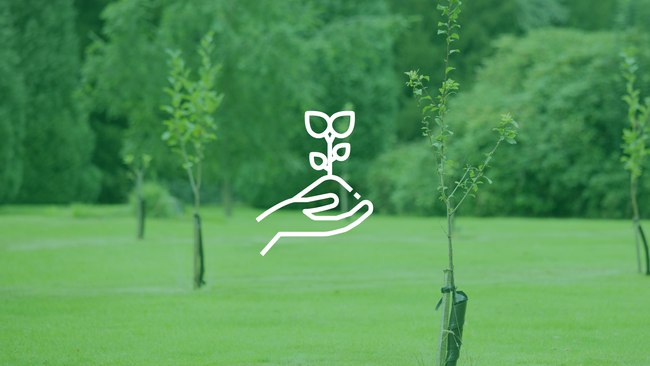 Newly planted trees and a graphic of a person holding a plant.