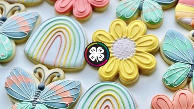 cookies decorated and shaped like flowers, rainbows, and butterflies