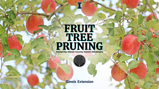 Apple tree background with text "Fruit Tree Pruning hosted by Macon County Master Gardeners"