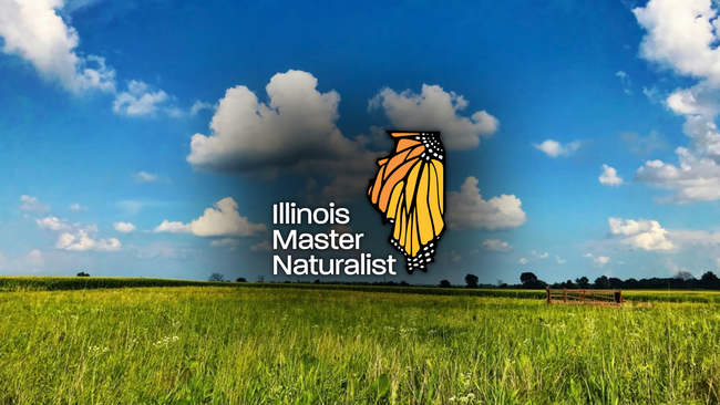 "Illinois Master Naturalist" with an image of the State of Illinois with a monarch butterfly wing within it. On top of a picture of a prairie
